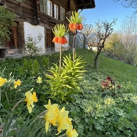 بيت للعطل Chalet Meienberger